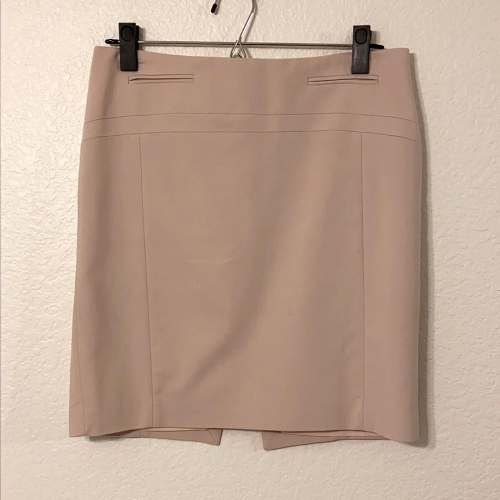 Blush Express Pencil Work Skirt